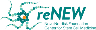 reNEW Logo